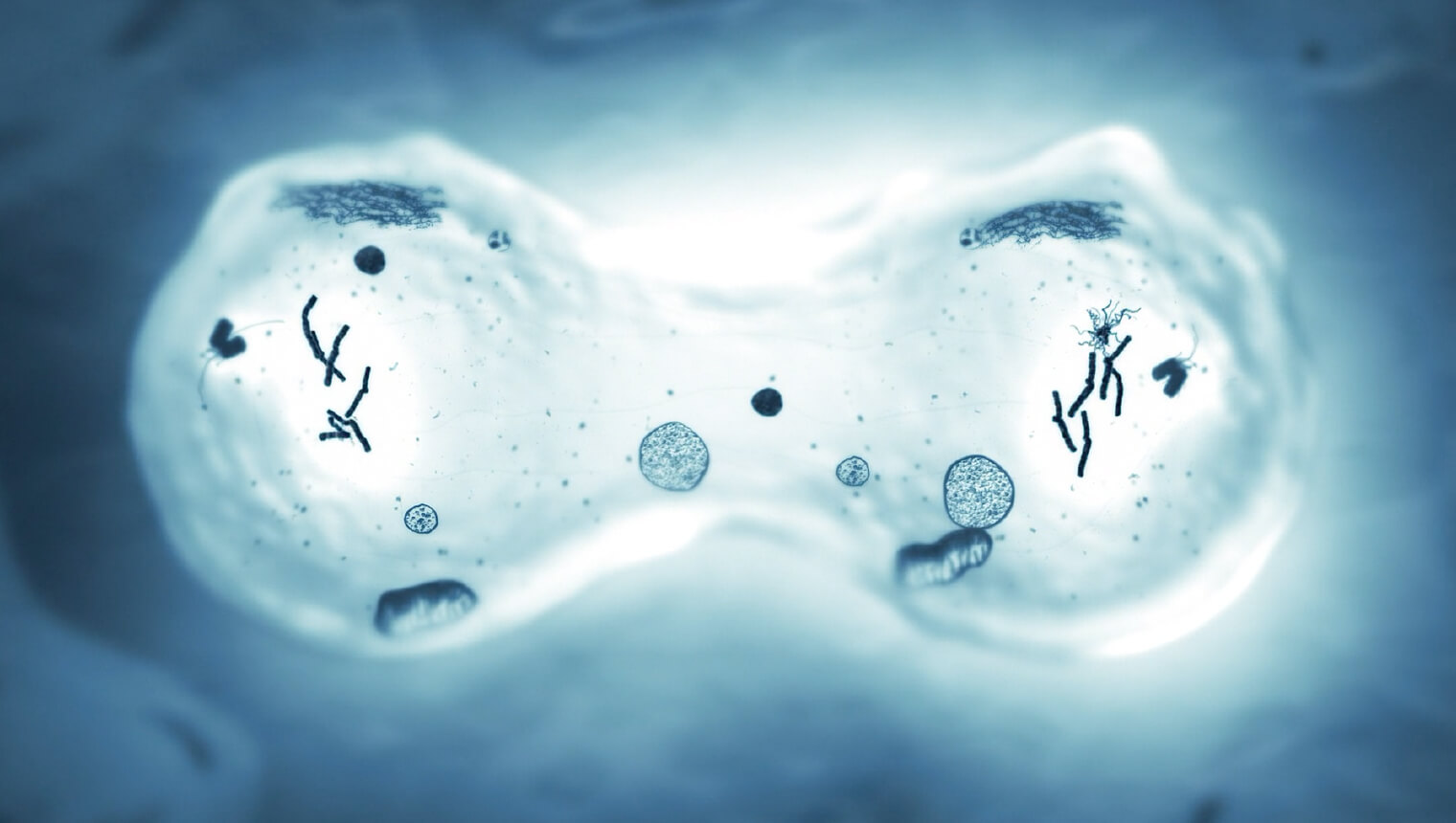 がんゲノム医療